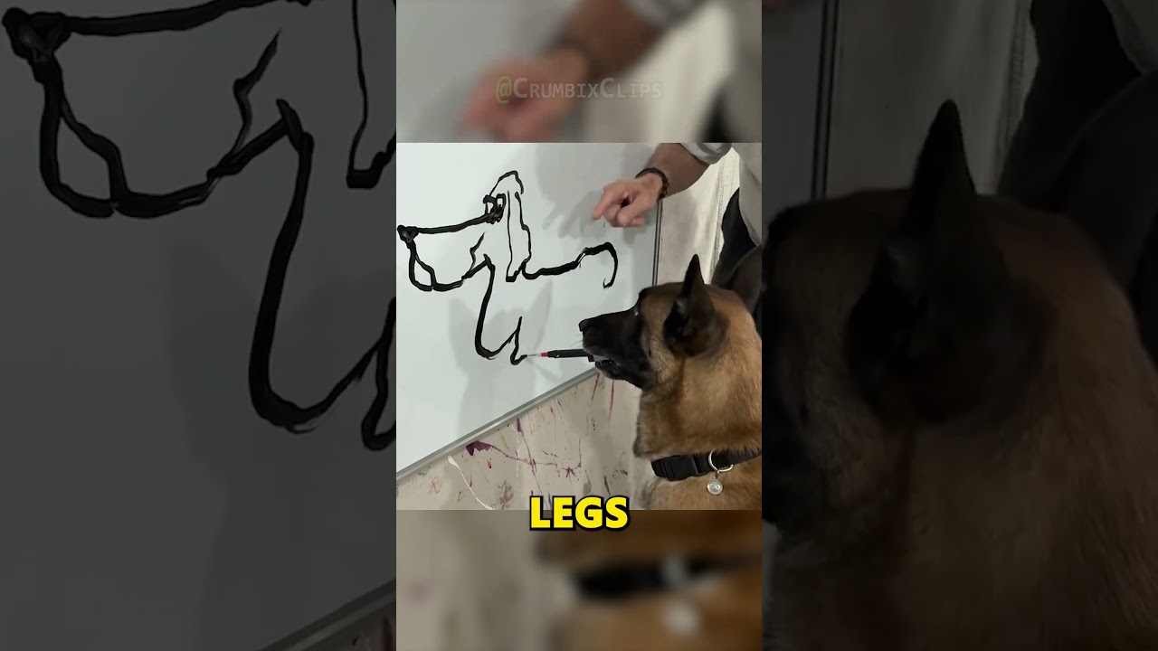 Эта собака рисует картину, а концовка трогает до глубины души 🐶🎨❤️