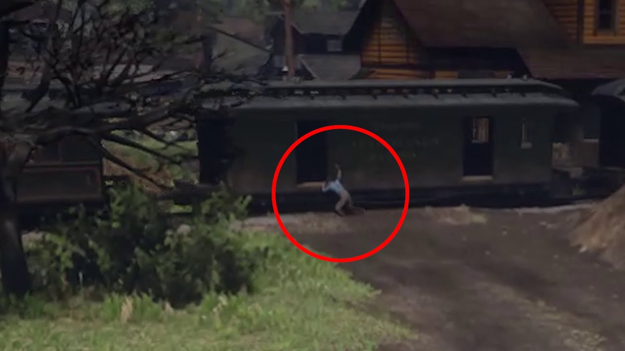 Never noticed NPCs train hopping before - Red Dead Redemption 2 - YouTube