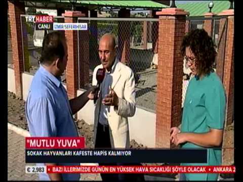 Video: Kış Için Barınak Gülleri