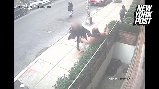 Wild video captures good Samaritan tackling armed man who was fleeing cops on NYC street | NY Post