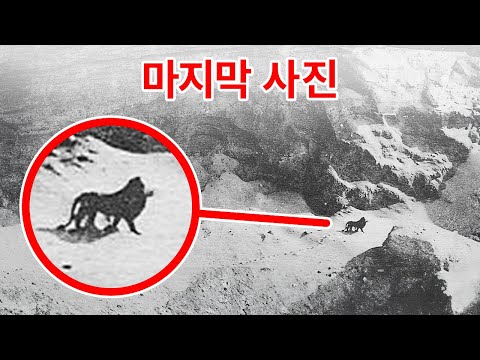 멸종된 종과의 마지막 만남
