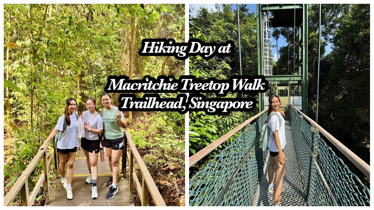 Hiking at Macritchie Treetop Walk Trailhead,Singapore 