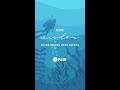Dive Wisdom - Scuba Diving with Nitrox