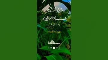 تلاوة تفوق الوصف بصوت يريح القلب #elmulquranعلم #تلاوة #trend #المصحف #اكسبلور #لايك #aslam