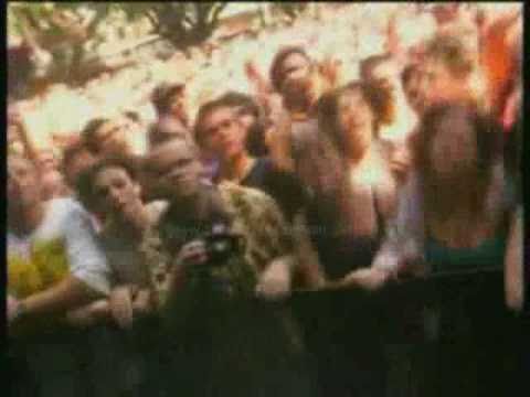 The Porkers — THE PORKERS ALCOHOL