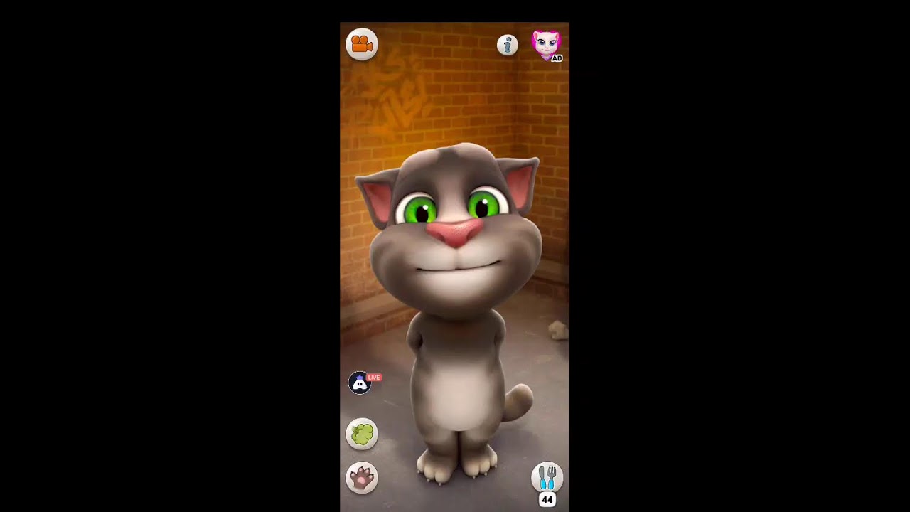 Talking Tom Live 🔴 | Funny Reactions & Crazy Moments 😂