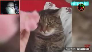 Gülmeme Challenge Zordu Ger Ekten