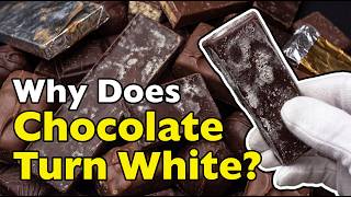 Why Does Chocolate Turn White? The Safe Truth Explained
