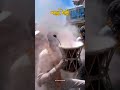 ₹£€}happy holi#@ har har mahadev#@