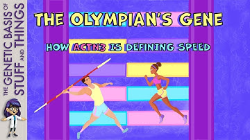 Science of speed: ACTN3 in elite athletic performance