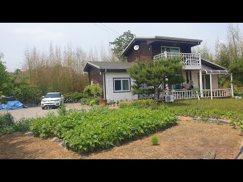 급처분,시골집터,593평,단돈4500만원,주말농장,시골집,상가자리,점포,창고,공방,전원주택,농막,컨테이너주택,건물,경매직전 반값부동산,급매물과 반값매매tv