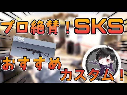 【Codモバイル】SKSが最強すぎる……