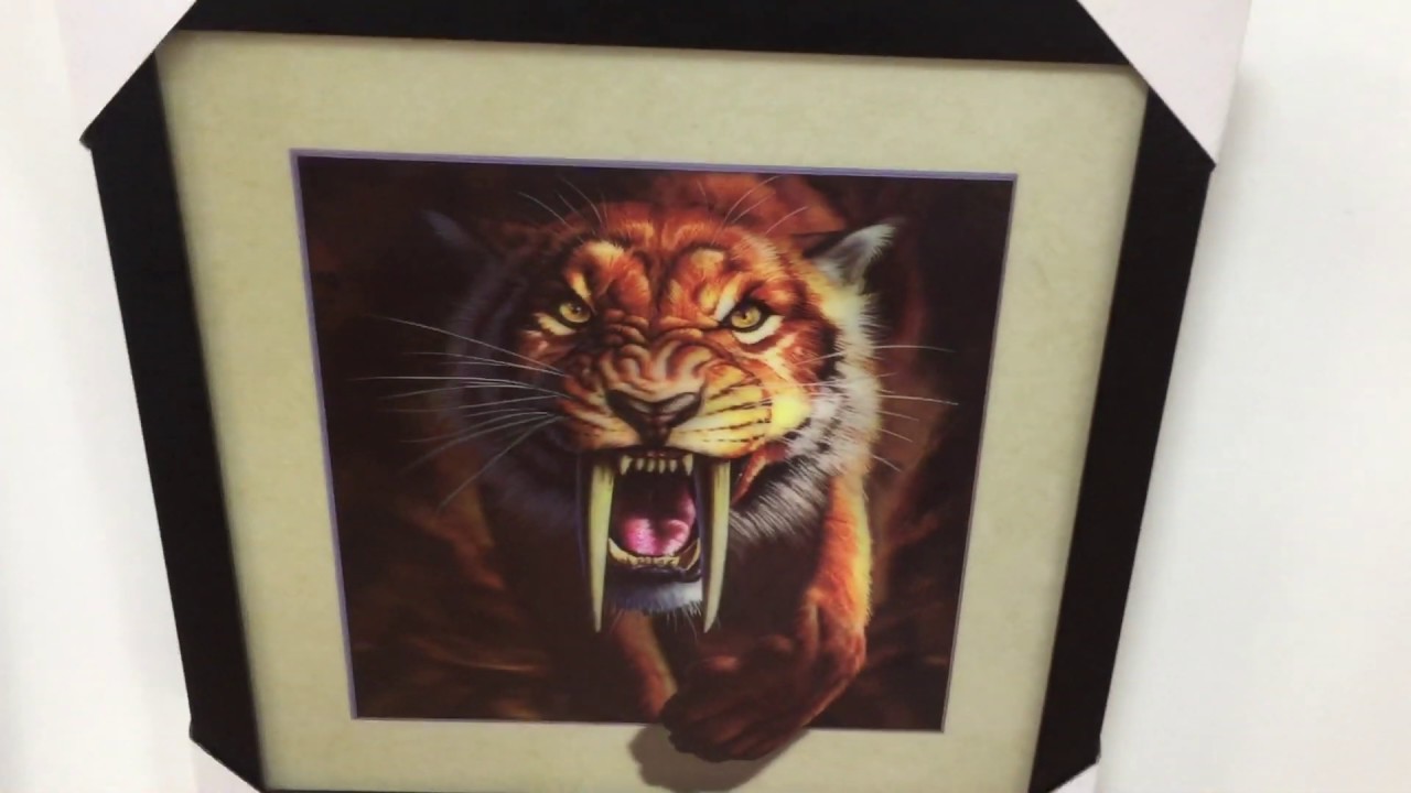 Plastic frame for 3d lenticular picture wooden frame for sales - YouTube