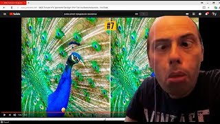 как быстро найти десять отличий на двух одинаковых картинках screenshot 3