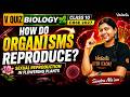 How Do Organisms Reproduce? | Class 10 Biology | VQuiz | CBSE 2027 | Sandra Ma'am