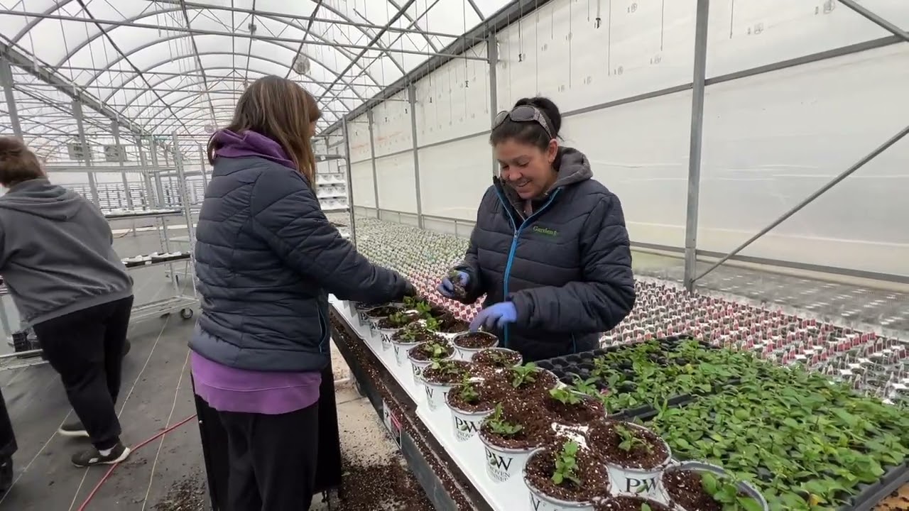 Planting Perennials Spring 2023