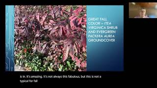 Sacred Grounds How to Garden with Native Plants in the Washington DC metro area