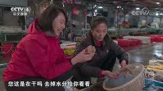 《远方的家》 20230102 行走山水间 山海港城 “晶”彩生活|CCTV中文国际