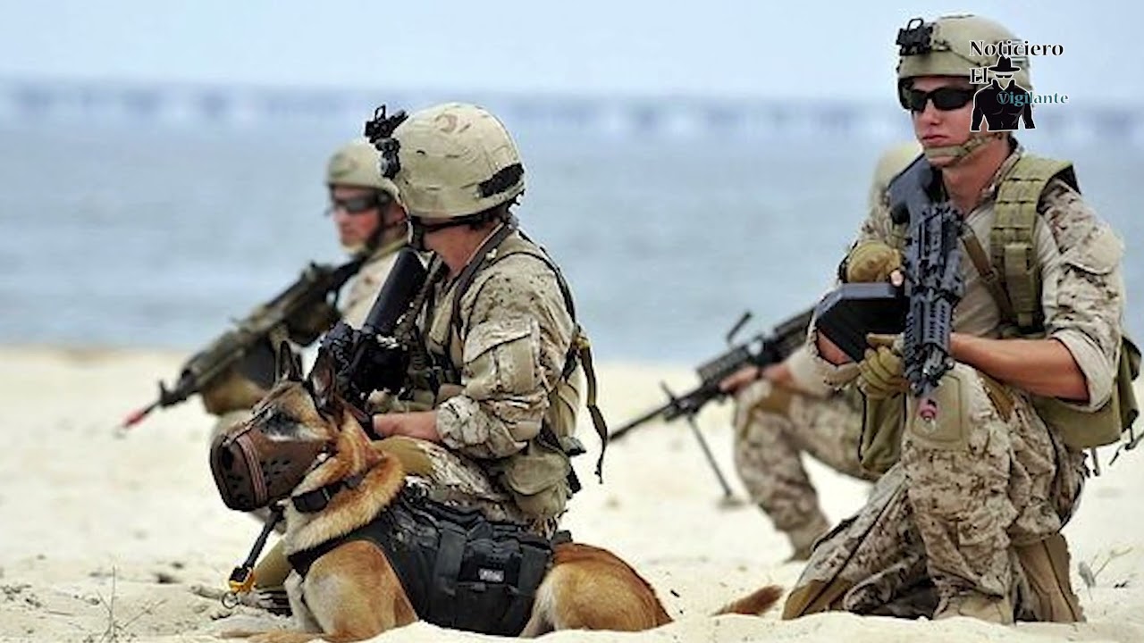 Ingresan a México los Navy Seal, marinos bélicos de élite de EE UU