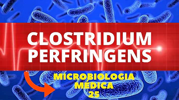 Como a bactéria Clostridium perfringens consegue alterar as proteínas?