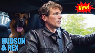 Hudson & Rex 2024 - The Pet Sitter - Hudson & Rex Full Episode