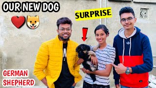 MY NEW GERMAN SHEPHERD DOG | SURPRISE FOR MY DAD ❤