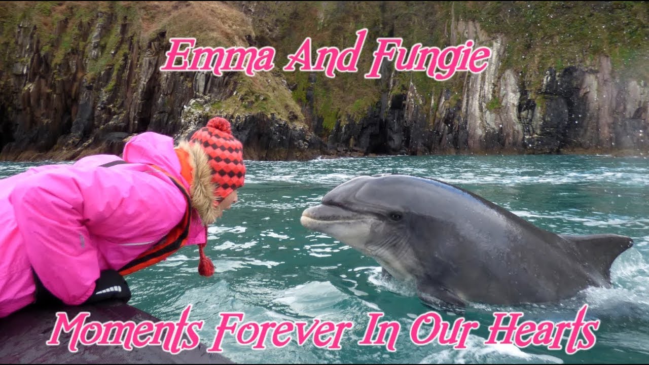 FUNGIE FOREVER- EMMA AND FUNGIE FOREVER IN OUR HEARTS