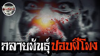 กลายพันธุ์ปอบผีโพง |EP.78| Wizardเล่าเรื่องผี #ปอบผีโพง #เรื่องหลอนๆ