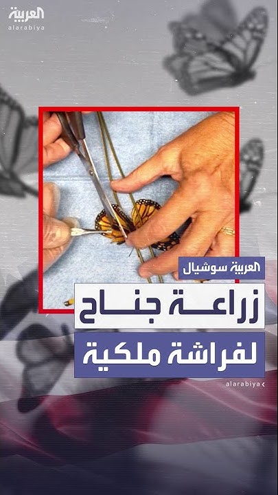           
 - نشر قبل 34 دقيقة
