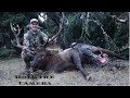 Montana archery bull elk 2018 "Hold The Camera"