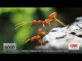 Tech for Good: Animal insights lead to robot navigation breakthroughs