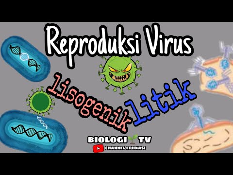 Video: Apakah virus menggandakan diri?