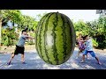 Kids go to School | Hacona Use Magic Big Watermelon Giant Pear Song for Childrens