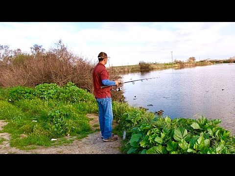 Fun Fishing In The San Joaquin River