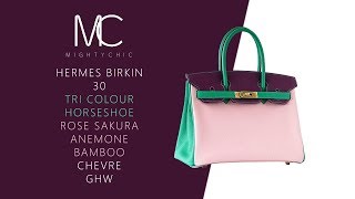 Hermès Birkin 30 Tri-Color Chevre Horseshoe Bag GHW