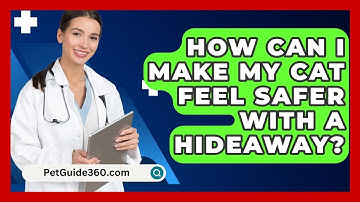 How Can I Make My Cat Feel Safer With A Hideaway? - PetGuide360.com