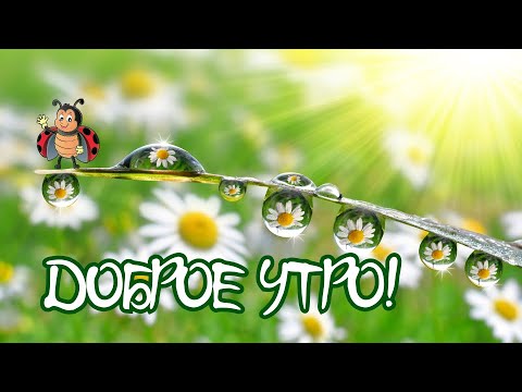 Утреннее пожелание, что изменит Ваш день! Доброе утро! #доброеутро