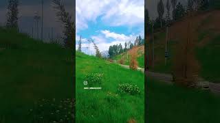 #asmr #fargona #fergana #trendingshorts #uzbekistan #reels #shortvideo #shortsvideo #bochka #top