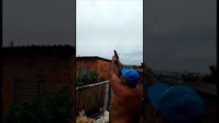 Após aparecer em vídeo atirando com pistola, homem com tornozeleira eletrônica é preso