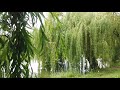 Wien-Favoriten