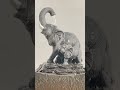 Meditation Sounds of Water Happy ￼  Elephants