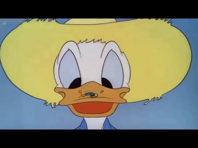 Donald Duck - Old MacDonald Duck - 1941 (HD) class=