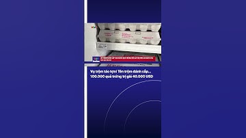 Vụ trộm táo tợn! Tên trộm đánh cắp… 100.000 quả trứng trị giá 40.000 USD | VTV Index