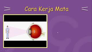 Cahaya dan Alat Optik : Indra Penglihatan