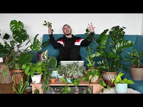 Skova - Rap o Džungli 🌿