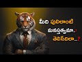 Do You Have a Tiger-Like Mindset? Find Out Now!