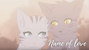 [WARRIORS CATS] GrayStripe and SilverStream - Name of love