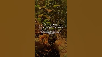 تلاوة خاشعة: سورة ق آية 16 تريح القلب! 💖