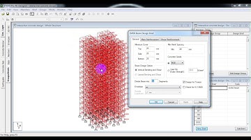 staad pro (interactive concrete design)