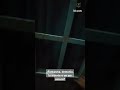 2da parte. ¿Demonio o un ser de los llamados "gente oscura"?